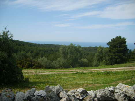 Gargano o8 297.jpg